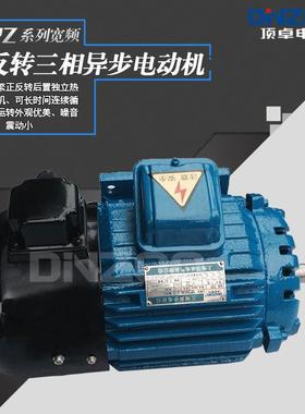 DIZOO/顶卓NPZ4508PZ6516YPZ65Y3Y2宽频攻牙GXW机专用正反转电机