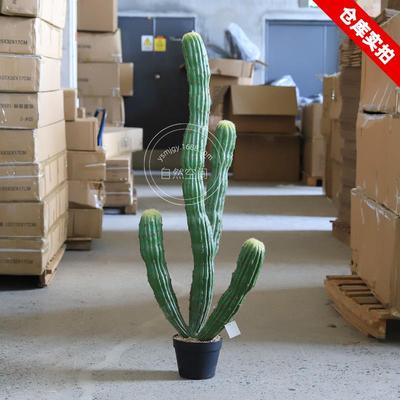 大型沙漠仿植物景观景假造仙人掌仿真植生物仙人MAA柱人绿植造盆