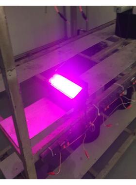 led植仿物生长灯室内太阳肉光补光灯卉RUR全光谱花多红蓝灯