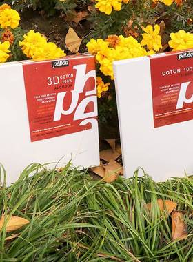 贝碧欧艺术家纯棉油画框布成品板YNF油画画内创作写生框画丙烯油