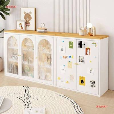 钢制铁艺书柜式约家用展示柜现代简置物物柜客厅防尘储柜收法ZIT