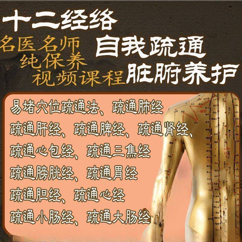 中医十二经络易堵点自我疏通手法课程视频教学脏腑排毒胃痛素材