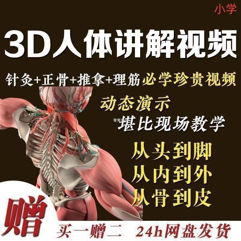 中医人体骨骼肌肉学习3D动态讲解演示视频自学资料中医人体小学