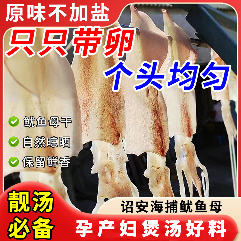 海石兄弟福建诏安本港鱿鱼母干带卵干籽无盐淡晒母鱿鱼干海鲜干货