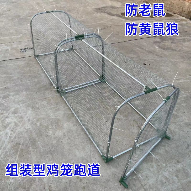 隧道鸡笼用鸡笼子地铁养鸡农家散养户外跑道溜达农场网庭院笼子走