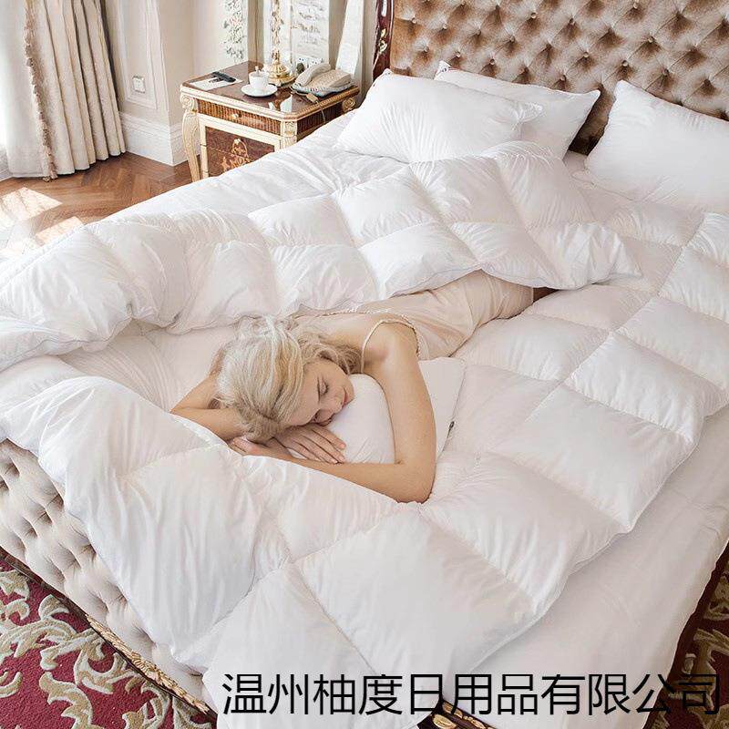 出口保五酒店羽绒被10086965被95白绒子冬被芯加厚暖春秋鹅被单双