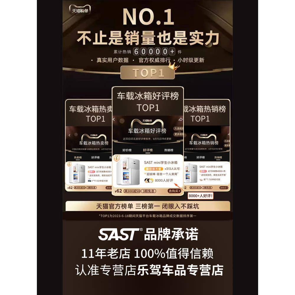 sast迷你小冰箱冷冻冷藏车载家用宿舍母乳办公室小型冰柜