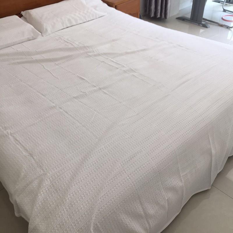 V人3FP出口牛货无品牌/纯棉床单单单件鸟眼大蜂巢全棉睡单双人加