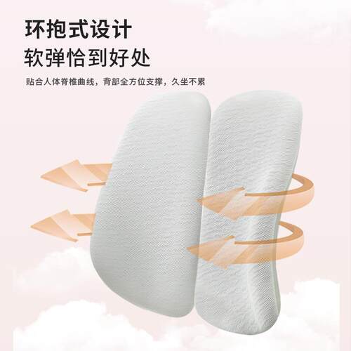 9W人体学椅护腰工家子用电脑椅久坐电竞椅学习书房公A-6032-9办椅