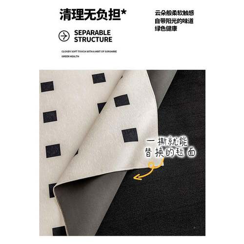 法式奶油地毯客厅拆可拆洗机洗地垫可2025新款加厚双层风HH0116可