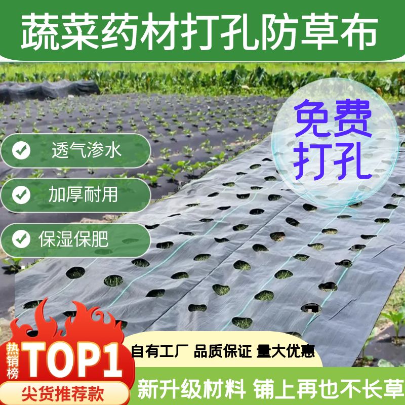 防草布抗老化园艺地布果园果树遮草盖草布大棚加厚地膜打孔除草布