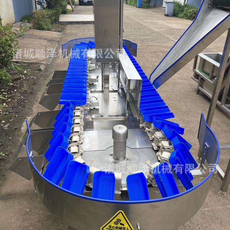 热销全自动牛油果重量分选机 大小重量分级设备 级别分定制,五金/工具,其他包装设备,淘宝优惠券,粉丝福利购,淘宝优惠卷