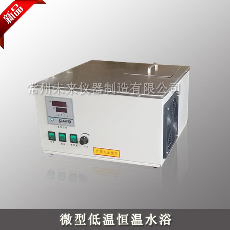 厂家定制小型低温恒温水槽微型低温水浴锅冷却水循环器6L