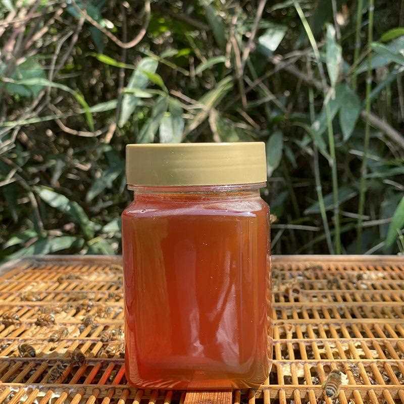 土蜂蜜500g散装洋槐蜂蜜农家纯正鸭脚木蜂蜜 荆条蜂蜜龙眼蜜