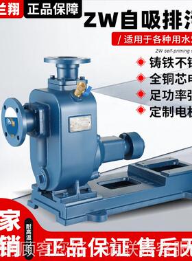 Z978W自泵污水流量体直联率式分式工业三相抽水泵大功吸无堵塞排