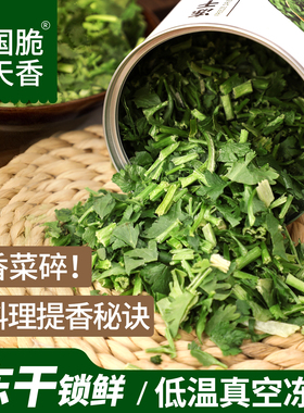 FD冻干香菜15克罐装商用天然脱水免切免洗蔬菜干泡面香菜碎耐储存