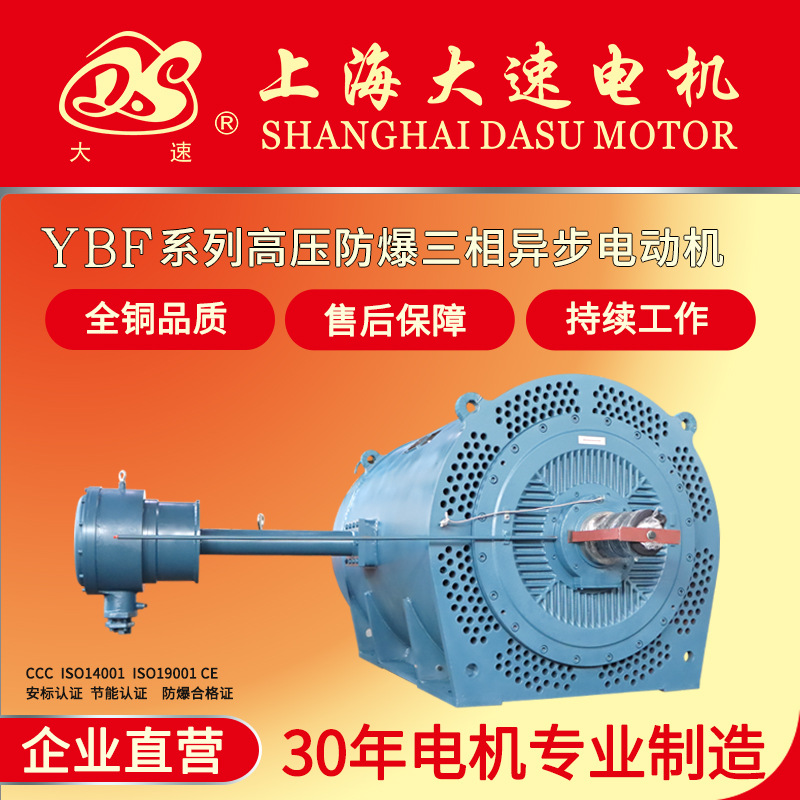大速YBF系列风机用6KV10KV高压防爆电机矿山煤矿三相异步电动机