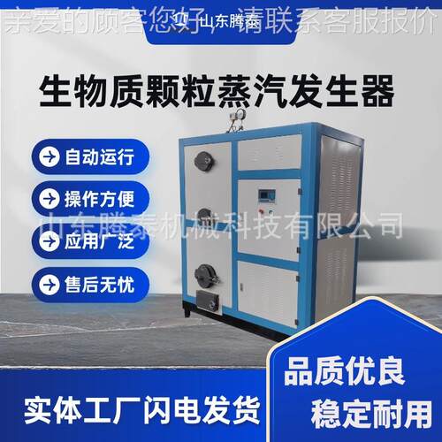 1生物质燃煤锅炉家 生厂物质蒸汽发TT-SW100生器 吨节能环保 直销