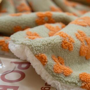 加厚羊羔绒毛毯冬季沙发毯双面绒珊瑚绒办公室午睡盖毯牛奶绒披肩