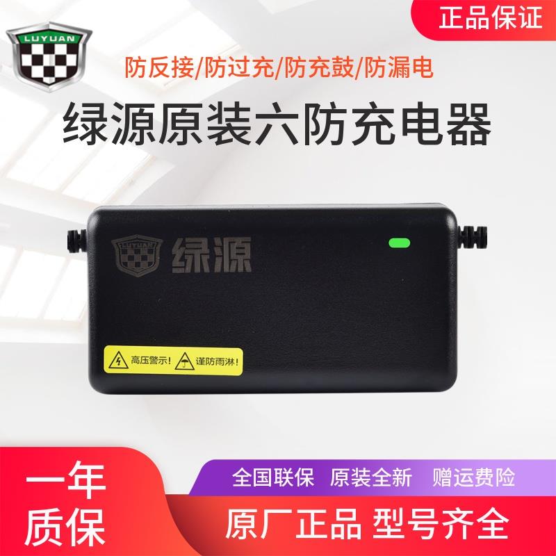 绿源电动车原装铅酸电池六防充电器48V60V72V/12AH20AH/20E30E-2T