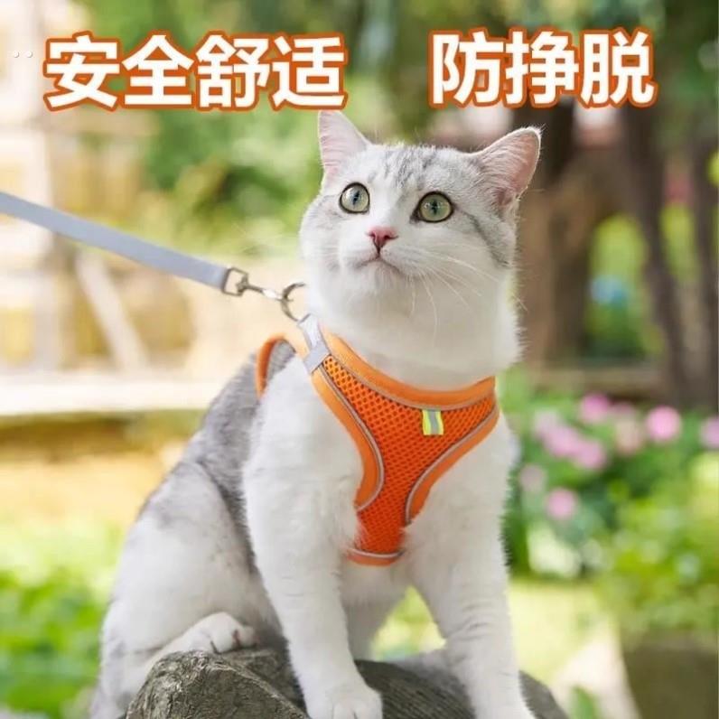 猫咪牵引绳防挣脱外出专用遛猫防跑神器溜猫绳背心式小猫宠物用品