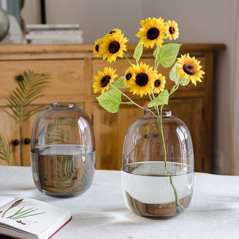 透明玻璃花瓶f大号水养插花高级感极简水培器皿简约花器大肚瓶摆