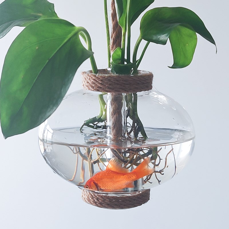 墙面隔断花瓶装饰水培玻璃器皿幼儿D园民宿办公室玄关客厅酒吧餐