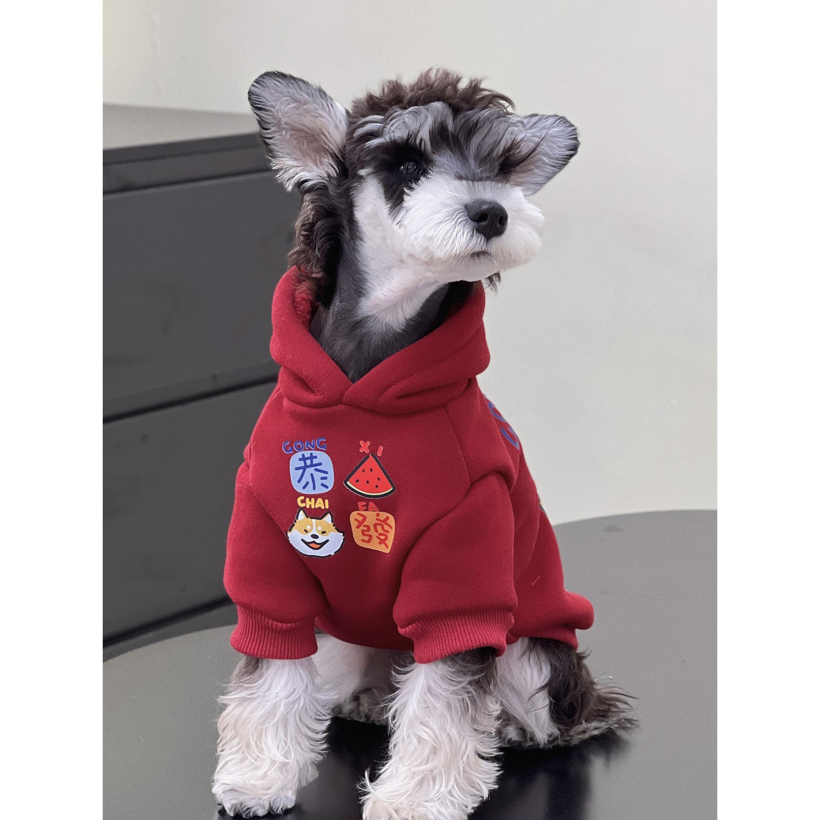 宠物猫狗衣服 秋冬新年纯棉喜庆连帽酒红恭喜发财卫衣 中小大型犬