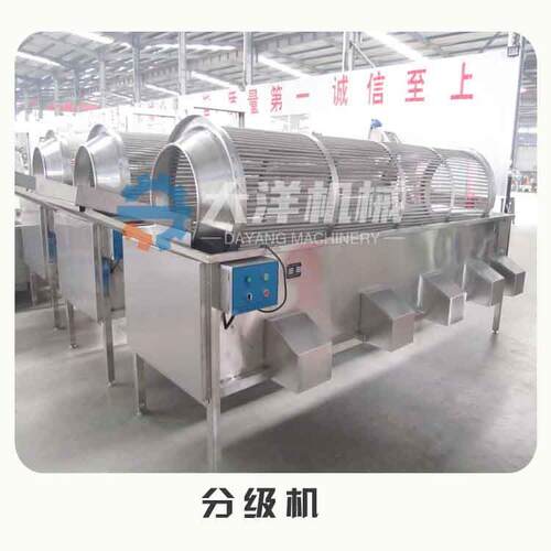 滚杠式土豆分级机新型西红柿分选设备不锈钢萝卜筛选机器现货供应