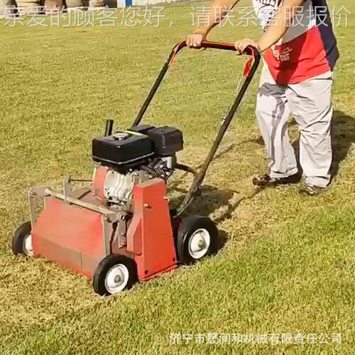 草坪养护用27草0理寸手推式梳草机 坪打理杂草梳汽油型梳小理机