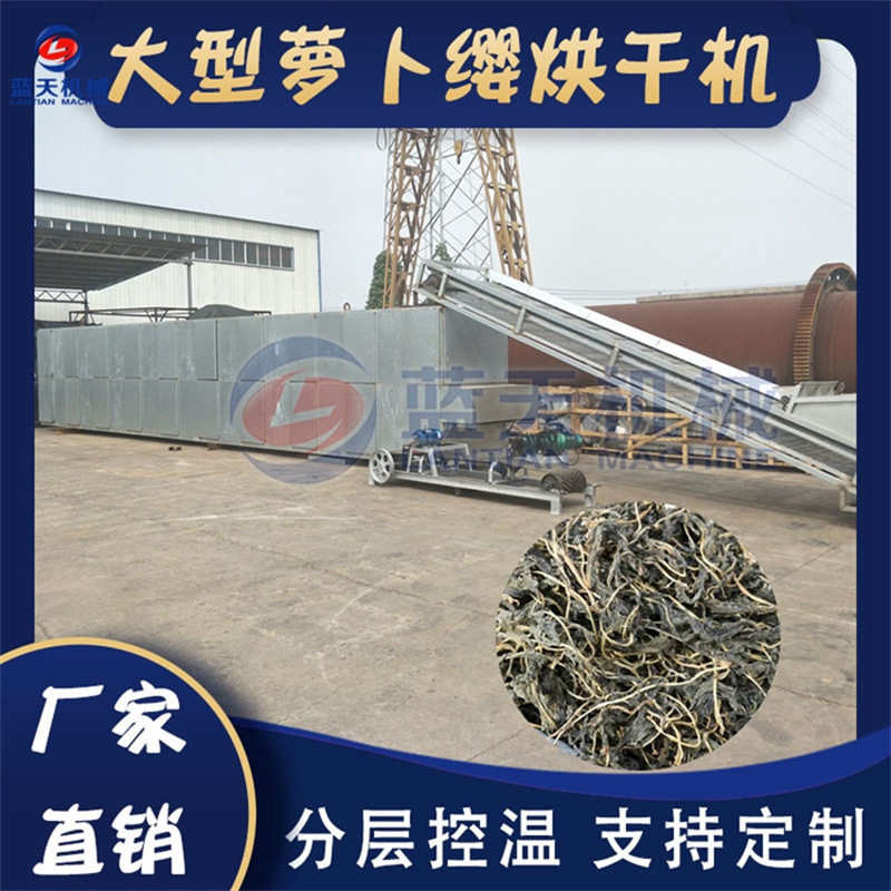 网带式萝卜缨烘干机 大型萝卜叶蔬菜叶干燥机 萝卜瑛脱水烘干设备