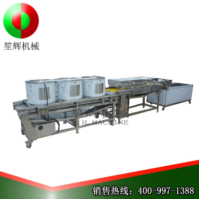 笙辉臭氧气泡清洗机食品厂涡流蔬菜洗菜机商用蔬果处理设备可定制