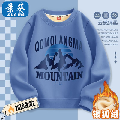 男童卫衣秋冬季2025新款儿童宽松套头上衣男孩中大童时尚打底衣服