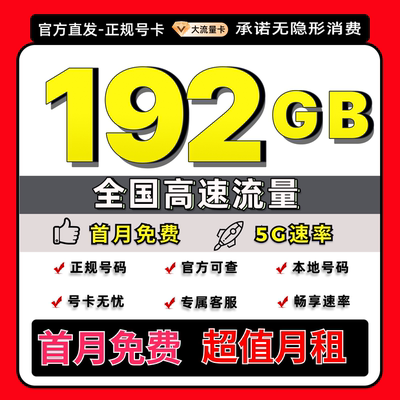 流量卡纯流量上网卡手机卡大流量5G电话卡全国通用流量大王卡