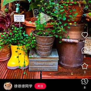 树脂可爱雨靴造型花盆创意卡通园艺杂货摆件装饰有孔