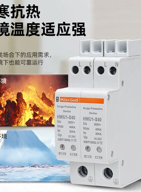 新型智能防雷保护器一体小体积2p4p20KA40KA家装带指示浪涌保护器