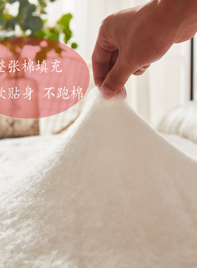 宾馆酒店被子春秋被白色夏天的薄A被冬被200x230加厚单人被芯