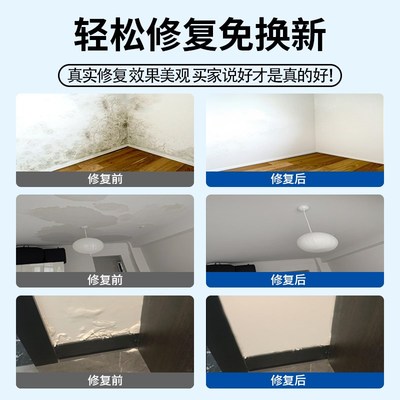 内墙防水防霉涂料室内自刷防潮抗渗水背水面墙面潮湿起皮脱落修复