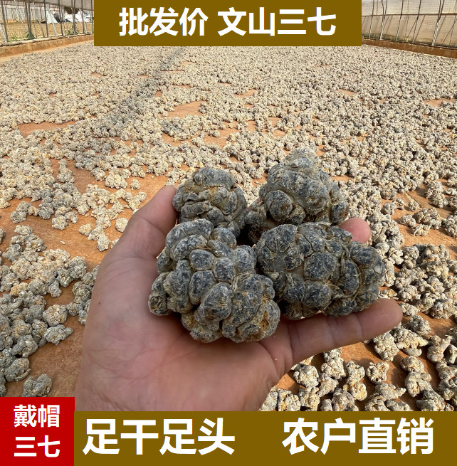 云南文山三七戴剪口春三七6头8头10头中药材田七粉500克