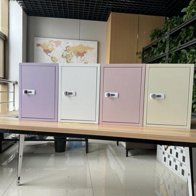 小型铁皮柜学家用DUG卧码锁生利克室胡保密险箱小型桌上收纳柜储