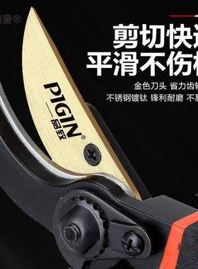 德进口国S力K5修枝剪省家用果树园BDH林粗枝剪嫁接花艺园艺麦钢太