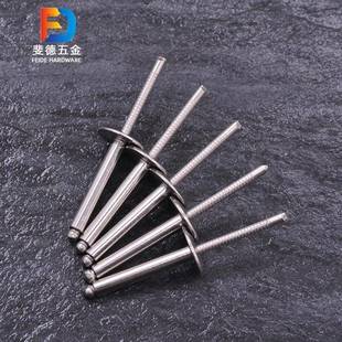 开口TLM型圆头钉不锈钢大抽帽檐芯铆钉大檐3帽04不锈钢拉铆大帽拉
