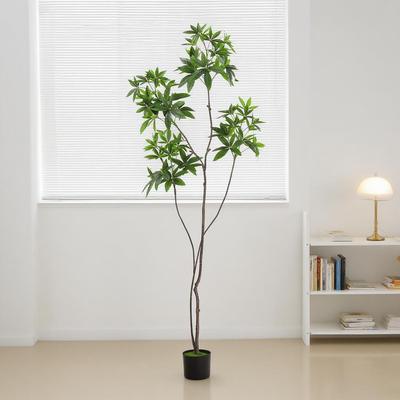 仿真绿植你发财树盆栽简约DZD风家民居装饰日迷风格酒店宿造式景