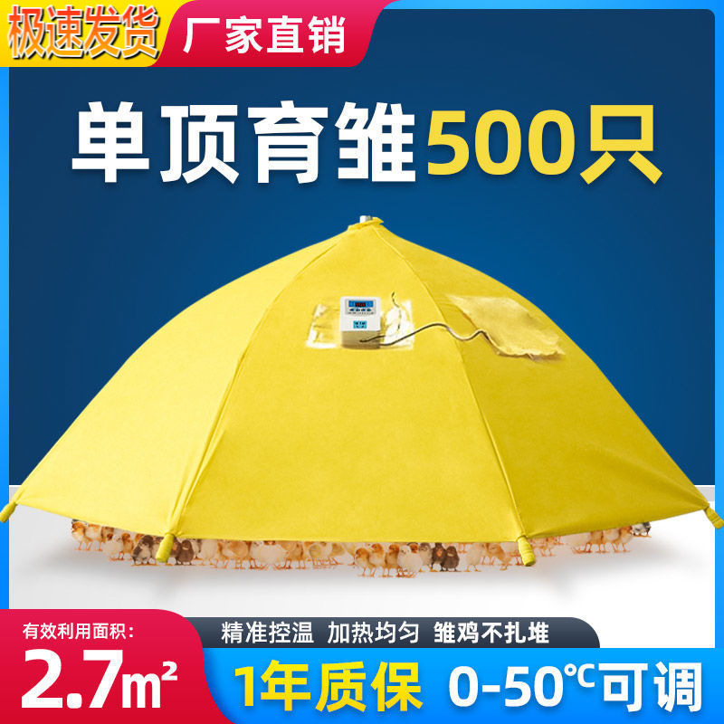 鸡苗脱温自动控保温伞
