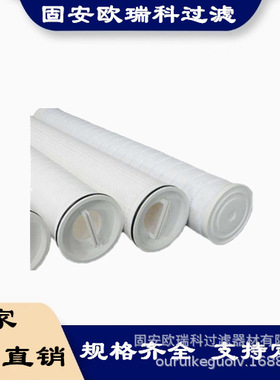 供应替代RTM41HF050E过滤器大流量滤芯补给水过滤器