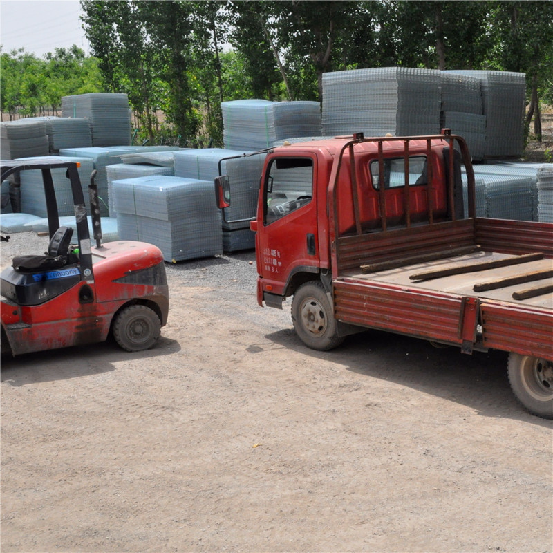 镀锌网片2-6mm规格齐全订制 镀锌电焊网养殖铁丝隔离防护钢筋网片