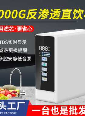 净水器家用厨房厨下式彩屏1000G大流量直饮机ro反渗透五级净水机