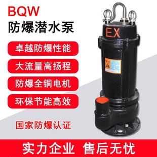 BQW防爆潜水泵排污泵隔爆潜污泵污水泵LNG站雨水泵提升泵220V铸铁