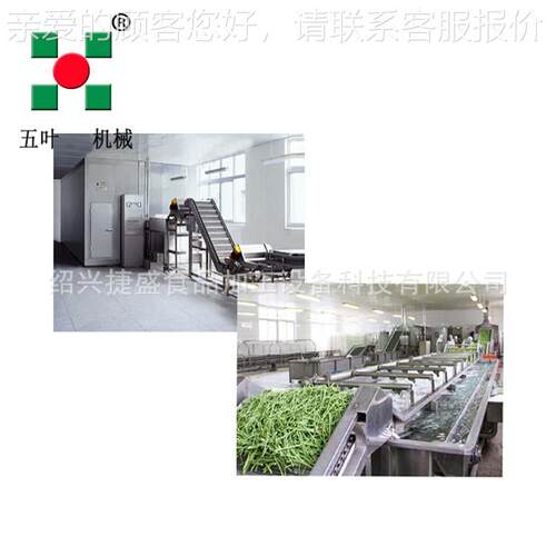 自动1000KLSDG/H水果樱桃速冻单机不锈钢海产全品快速冻设 备