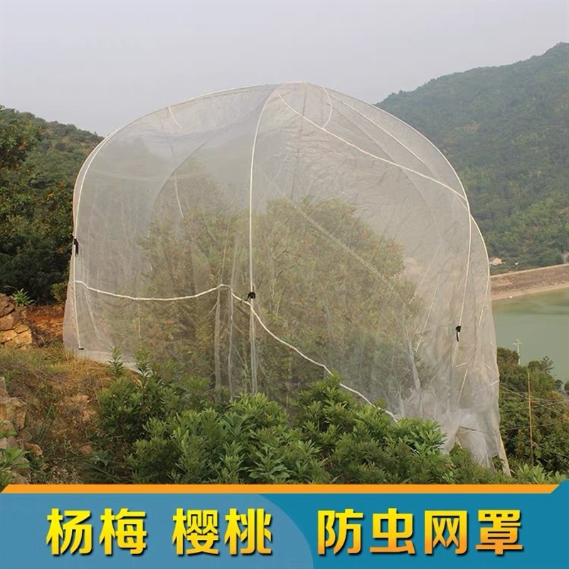果树防虫网罩子嘉宝果树网莲雾果罩子养殖防鸟蔬菜大棚防虫用的网